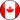 Web design contact for Canada